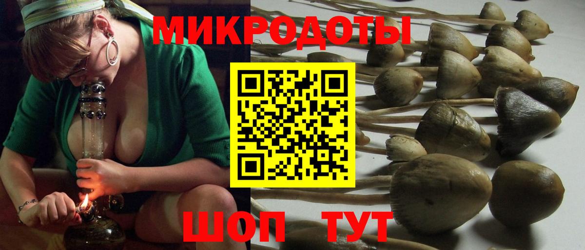 Галлюциногенные грибы Psilocybine cubensis  Вход с VPN  Псилоцибиновые грибы Magic Shrooms  Великий Новгород 