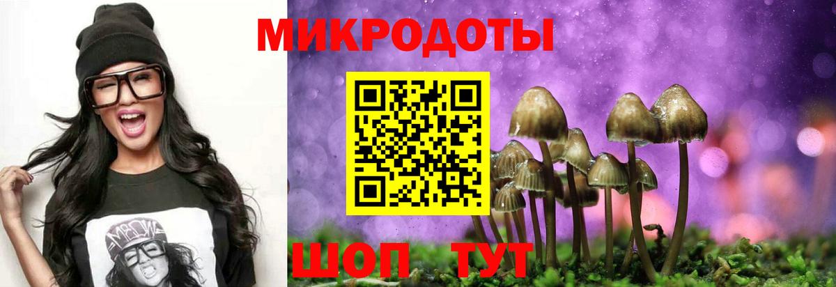Галлюциногенные грибы мухоморы Великий Новгород